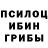 Псилоцибиновые грибы Psilocybine cubensis m sad
