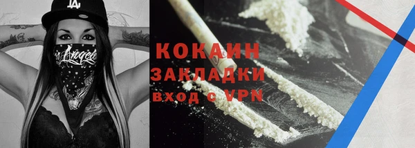 твердый Арсеньев