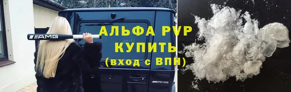 прущие грибы Баксан