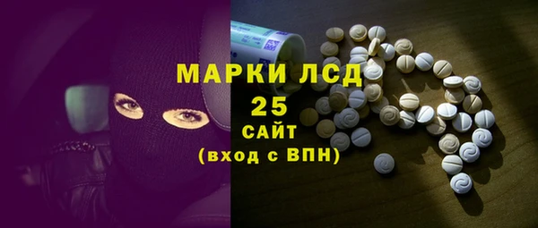 прущие грибы Баксан