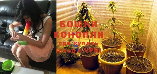 твердый Арсеньев