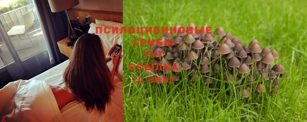стаф Балабаново