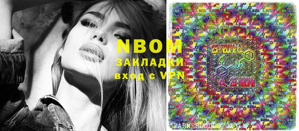 прущие грибы Баксан
