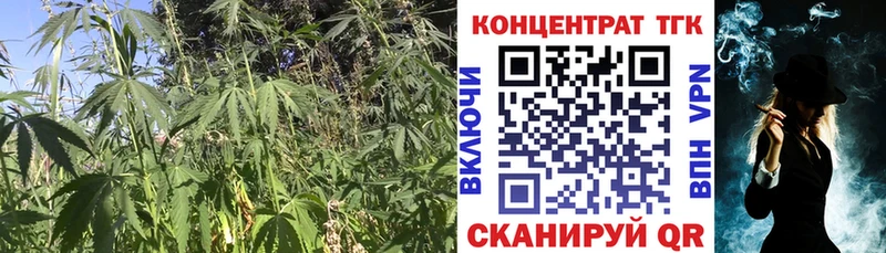 Дистиллят ТГК гашишное масло  Заинск 