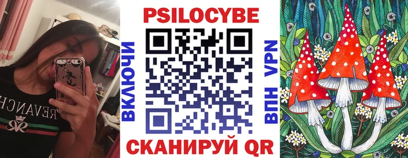 наркота  Заинск  Псилоцибиновые грибы Psilocybe 
